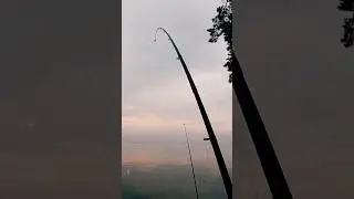 хорошо когда клюёт