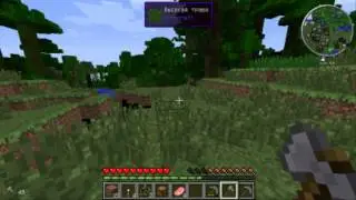 Индустриально-Магические приключения в Minecraft s1e1 - Место для дома!