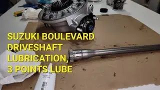 SUZUKI BOULEVARD DRIVESHFT LUBE, 3 POINTS LUBRICATION