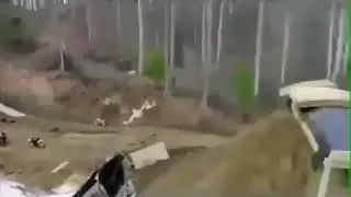 Звер(4)