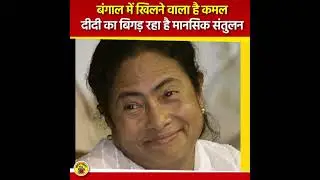 mamta banerjee memes mamta banerjee meme song 2021 mamta banerjee memes 2021