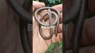 С днем физкультурника!!