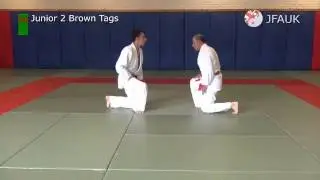 JFAUK Grading Syllabus: Junior 2 Brown Tags