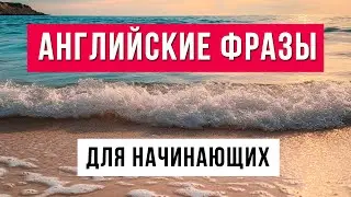 Английский для Начинающих: ТОП Фраз, Которые Используют Носители Языка!