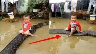 Уйда Ёлгиз Колган 3 Ёшли бола Нима Килганини Куринг
