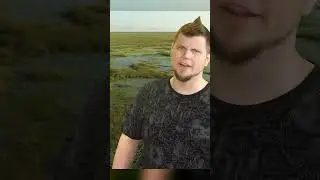 Roasting 
