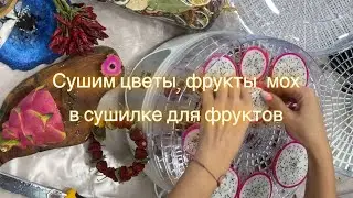 Сушим цветы, фрукты овощи мох