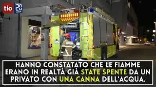 Pompieri al lavoro per una palma in fiamme