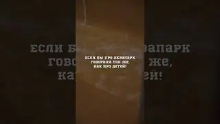 Если бы про аквапарк говорили так же, как про детей #юмор #скетч #аквапарккарибия #shortsvideo