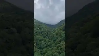 Красоты Абхазии⛰️