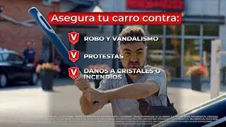 Asegura tu auto contra vandalismo con Veronica's Insurance