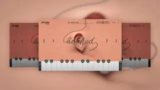 Arcade by Output - Introducing HOOKED