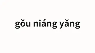 How to pronounce gǒu niáng yǎng | 狗娘養 (Dog nourish in Chinese)