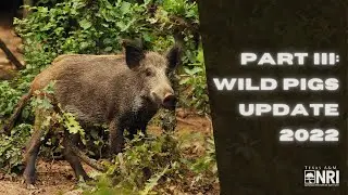 Feral Swine Control Pilot Program Workshop: Part III