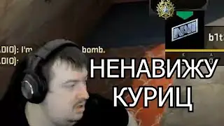 дося про куриц в кс го