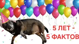 5 ЛЕТ КАНАЛУ ВРЕМЯ ПИ!!!