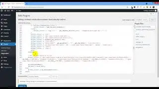 Custom Link in Portfolio Category