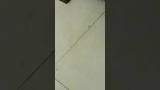 Gigitanmu merusak masa depanmu 😔 