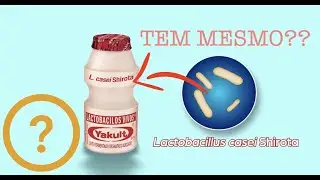YAKULT tem LACTOBACILLUS VIVOS mesmo?? - Checamos no MICROSCÓPIO!
