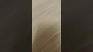 19 декабря 2023 г.