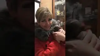 31 марта 2022 г.