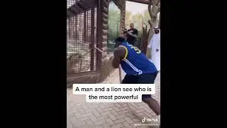 Lion Vs Man