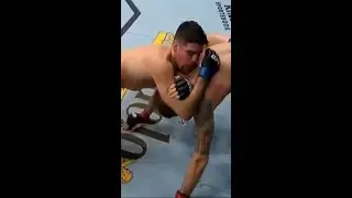CRAZY D'ARCE CHOKE BY VICENTE LUQUE -MINI BREAKDOWN of Michael Chiesa vs The Silent Assassin #shorts