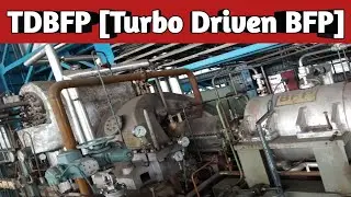 TDBFP | Working and Principle of TDBFP | Turbo Driven BFP | TDBFP in Power Plant |