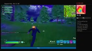 Fortnite with friends