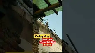 parah ini || 😂😂