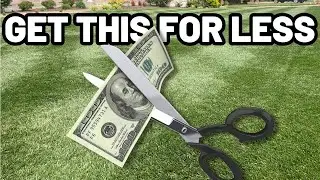 Lawn Care On A Budget // How To Save Money & Get The Best Results!