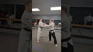 taekwondo belt level orange 2 escape