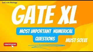 GATE XL most important numericals #gate #gatexl #gate2024
