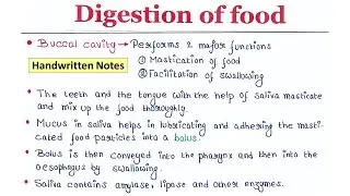 Digestion of food | Handwritten notes