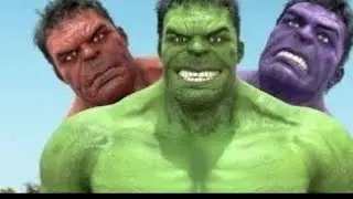 Hollywood Hulk Transformation Evolution Series From 1977-2026 In Real Life 