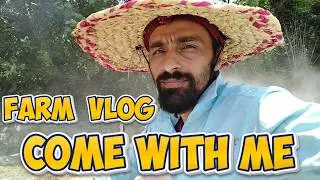 Farm Vlog | Second Round of Disc Harrowing with Tractor | A Day in Northern Iran’s Fields 