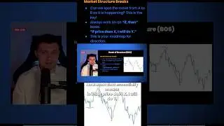 Learn How To Trade The Break Of Structure Strategy (Forex Tips!)
