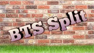 BTS Split