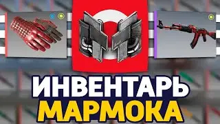 HOW MUCH IS MARMOK'S CS:GO INVENTORY WORTH