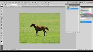 Adobe Photoshop CS5 _Spot Healing Brush