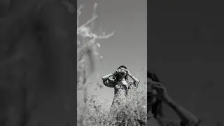 Girl Taking Photos From Camera - Copyright Free Video