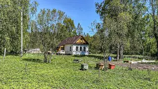Поднимаем хозяйство на хуторе. Будем есть натуральные и вкусные продукты