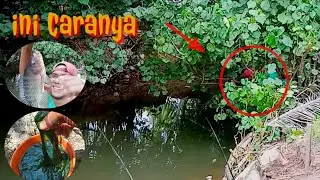 Cara mancing ikan Nila Babon Di Air asin/payau