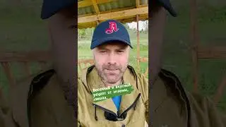 Забудьте про экзему и лишай!