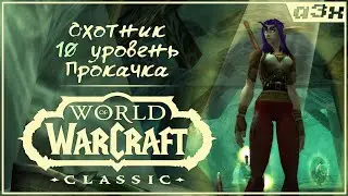 WoW Classic / Кач ханта / 