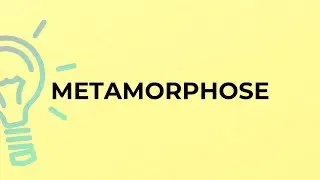 What is the meaning of the word METAMORPHOSE?