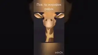 пов ты жирафик а рафика
