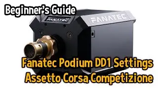Fanatec DD1 FFB Settings for Assetto Corsa Competizione