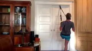 TRX Row Entelechy Coaching