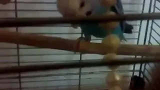 Обзор моих животных и растений в доме с моим другом по имени Женя!!!